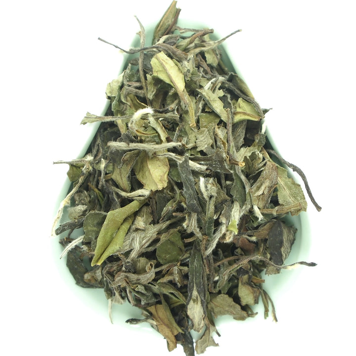 2022 Spring "Bai Mu Dan" (White Poeny) A+++ Grade, White Tea Fuding Fujian Province