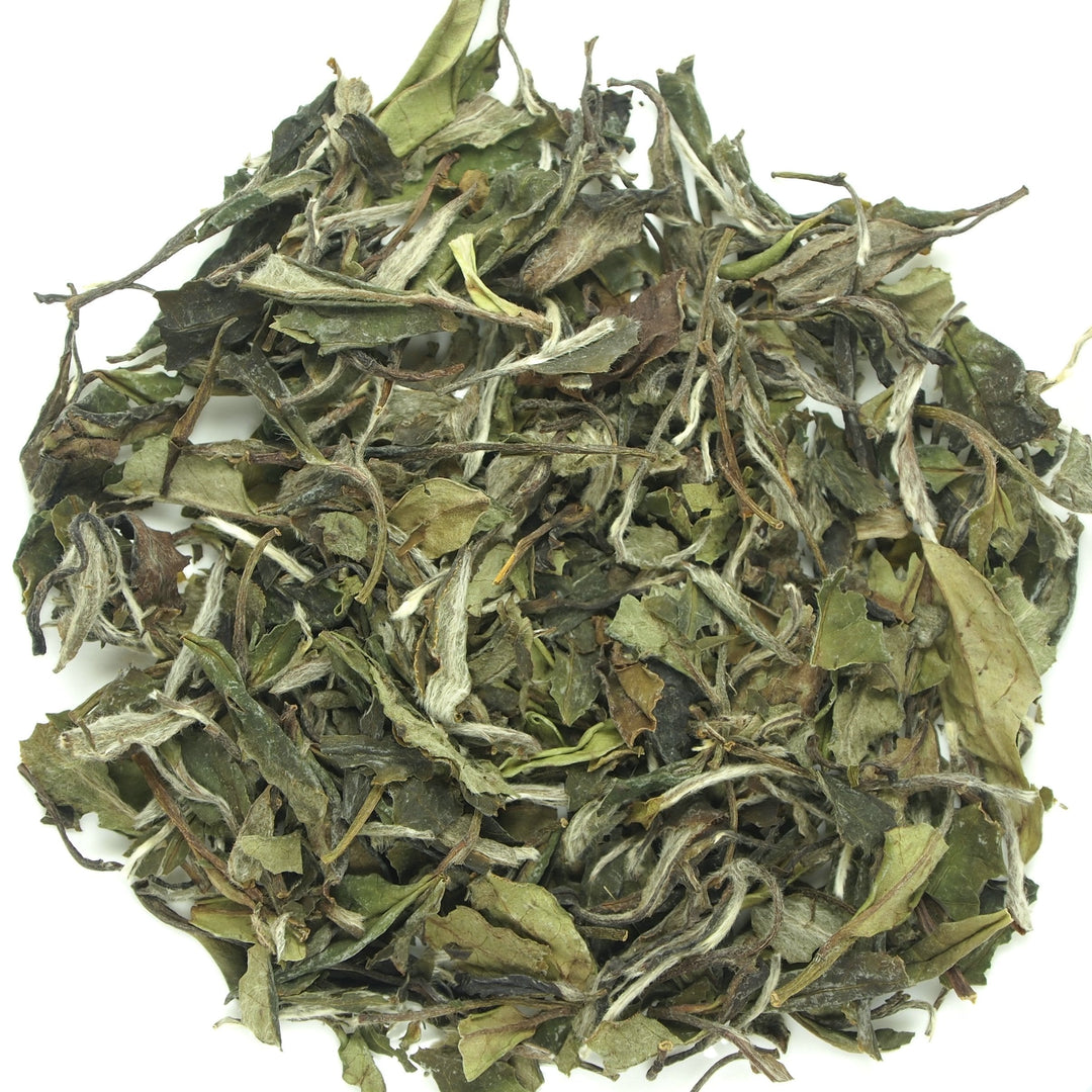2022 Spring "Bai Mu Dan" (White Poeny) A+++ Grade, White Tea Fuding Fujian Province