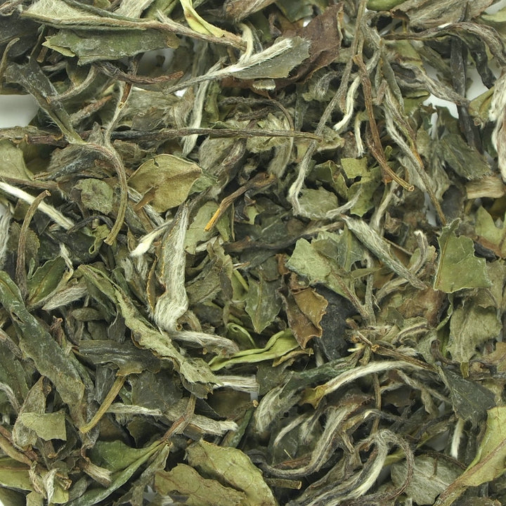 2022 Spring "Bai Mu Dan" (White Poeny) A+++ Grade, White Tea Fuding Fujian Province