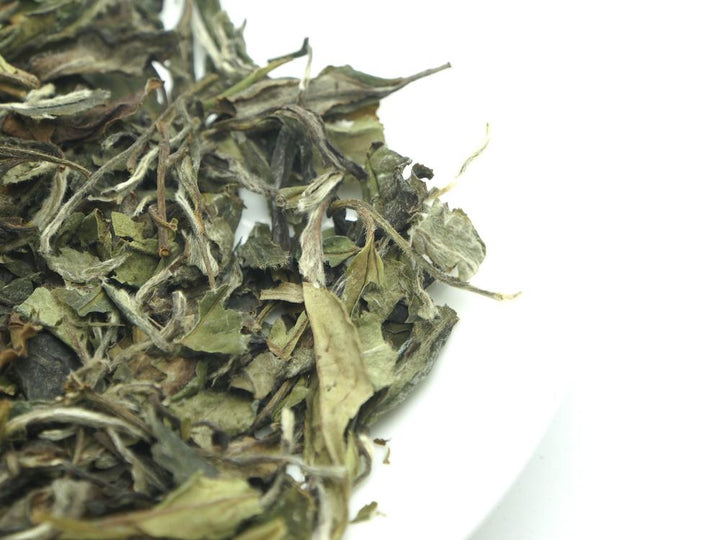 2022 Spring "Bai Mu Dan" (White Poeny) A+++ Grade, White Tea Fuding Fujian Province