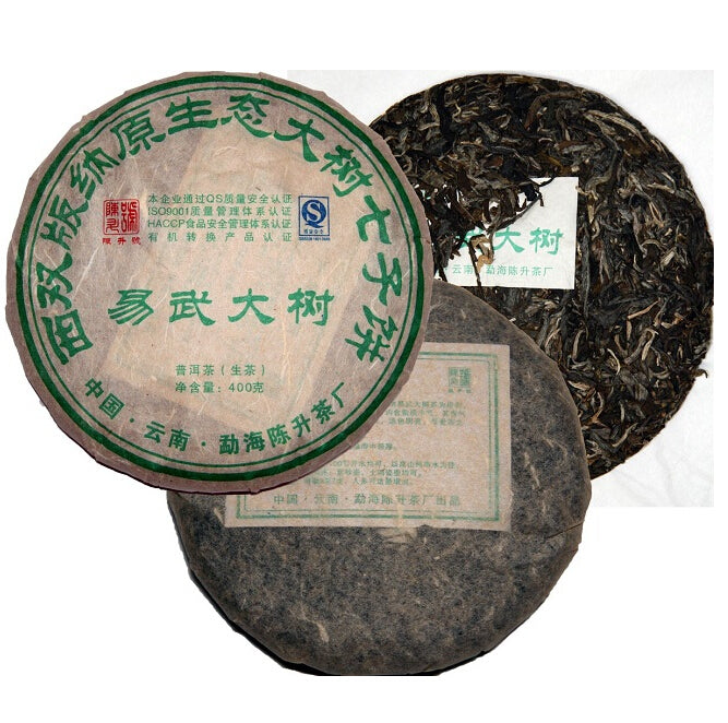 2009 ChenShengHao "Yi Wu Da Shu" (Yiwu Big Tree) 400g Puerh Raw Tea Sheng Cha