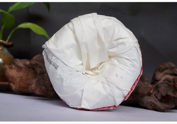 2017 XiaGuan "Jin Cang Er" (Golden Cang'er) Tuo 250g  Puerh Raw Tea Sheng Cha