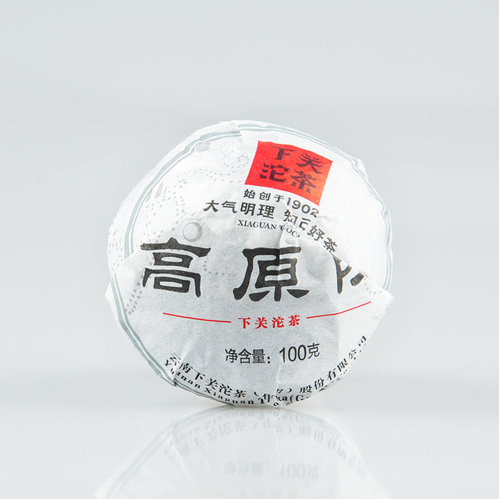 2014 XiaGuan "Gao Yuan Chen" (High Land Aged Tea) Tuo 100g Puerh Sheng Cha Raw Tea