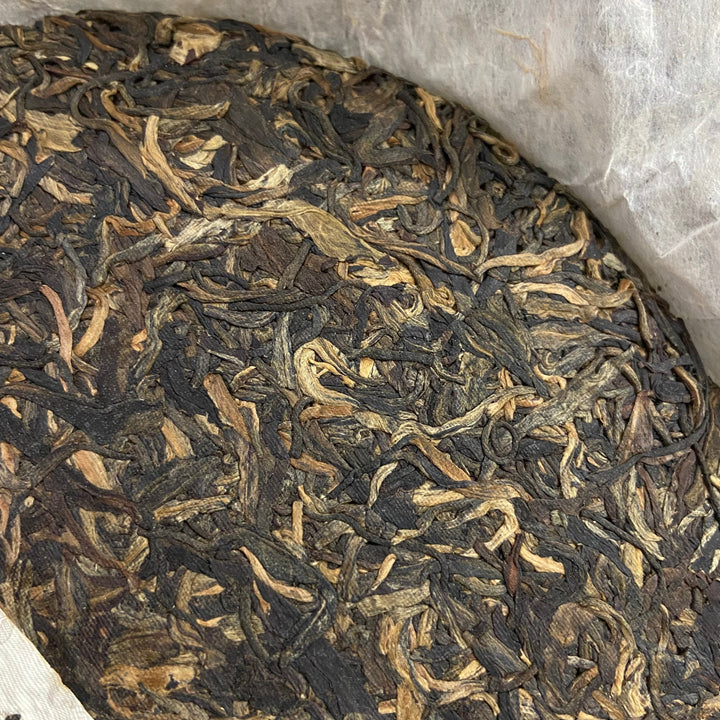 2006 FuHai "Qiao Mu Zao Chun - Te Ji Pin" (Early Spring Arbor - Special) Cake 380g Puerh Raw Tea Sheng Cha