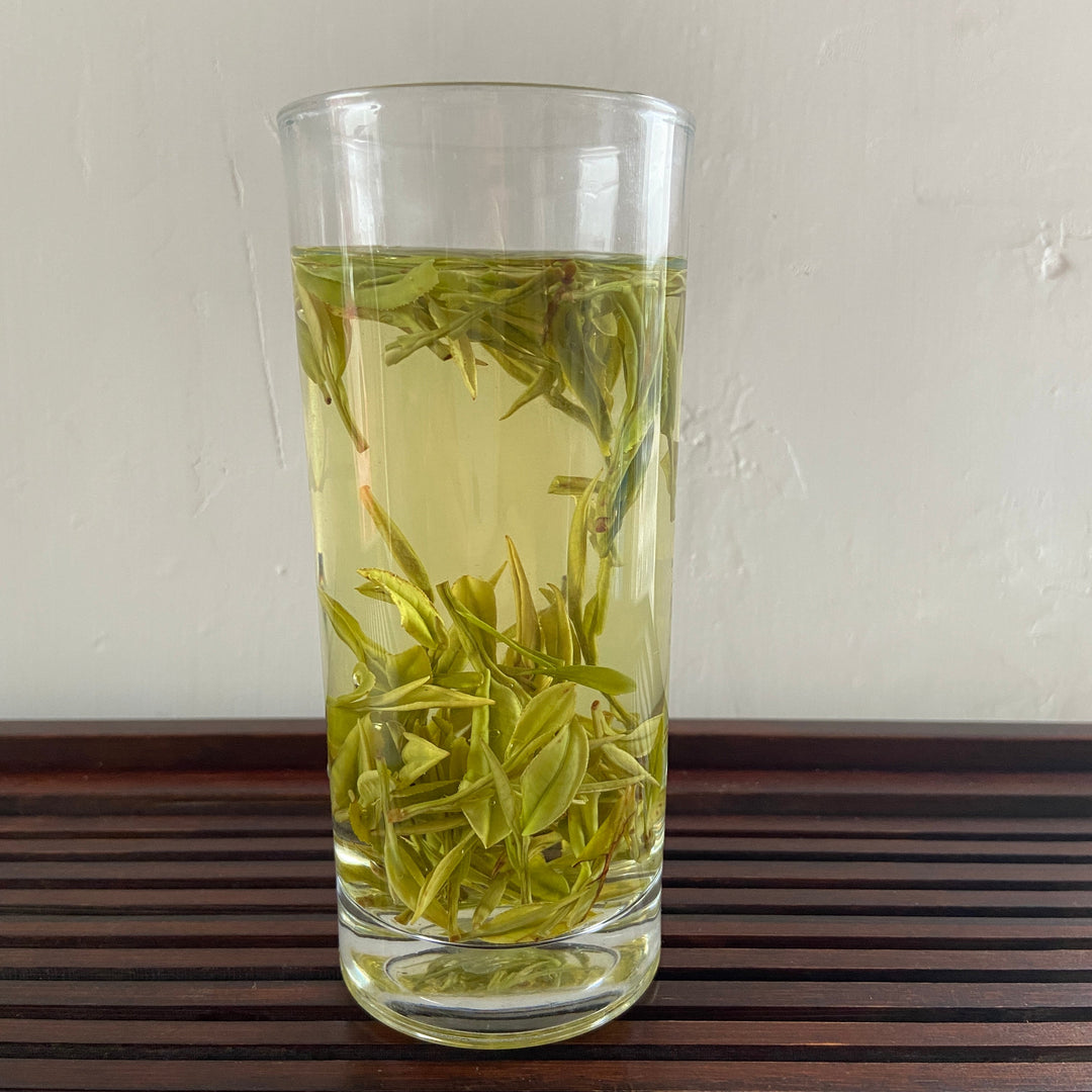 2022 Early Spring " An Ji Bai Cha "(AnJi BaiCha) A+++ Grade Green Tea Zhejiang