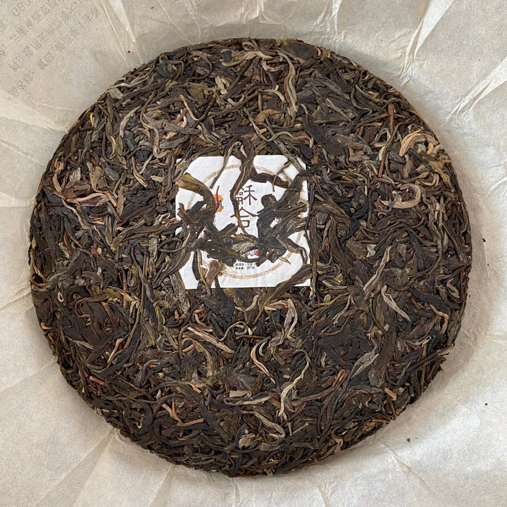 2020 TMK “Fu Gui - Meng Hai Qiao Mu” (Returning- Menghai Arbor Tree ) 357g Puerh Raw Tea Sheng Cha
