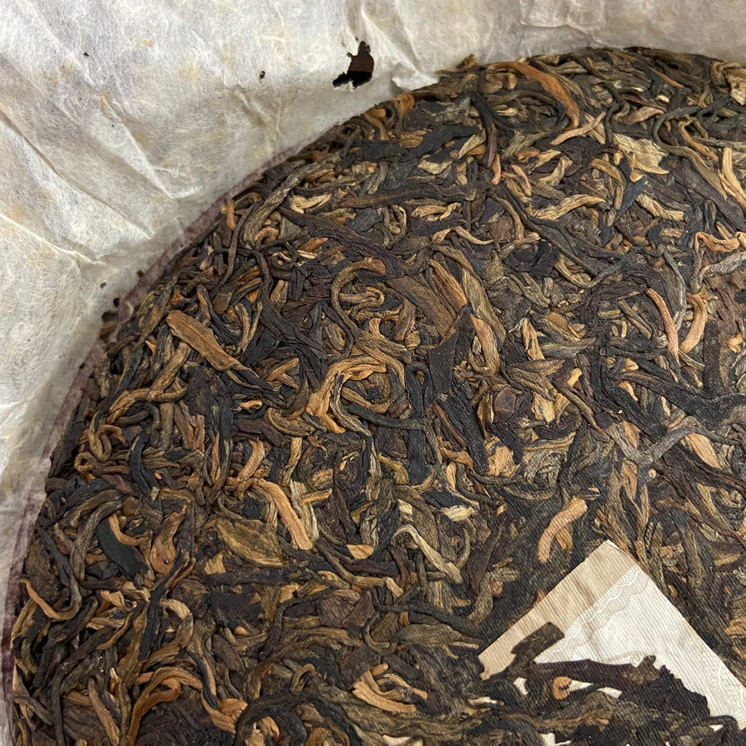 2006 FuHai "Qiao Mu Zao Chun - Te Ji Pin" (Early Spring Arbor - Special) Cake 380g Puerh Raw Tea Sheng Cha