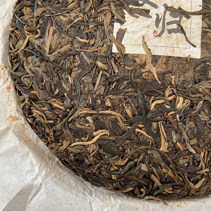 2016 TMK “Fu Gui - Meng Song” (Returning - Mengsong) Puerh Raw Tea Sheng Cha