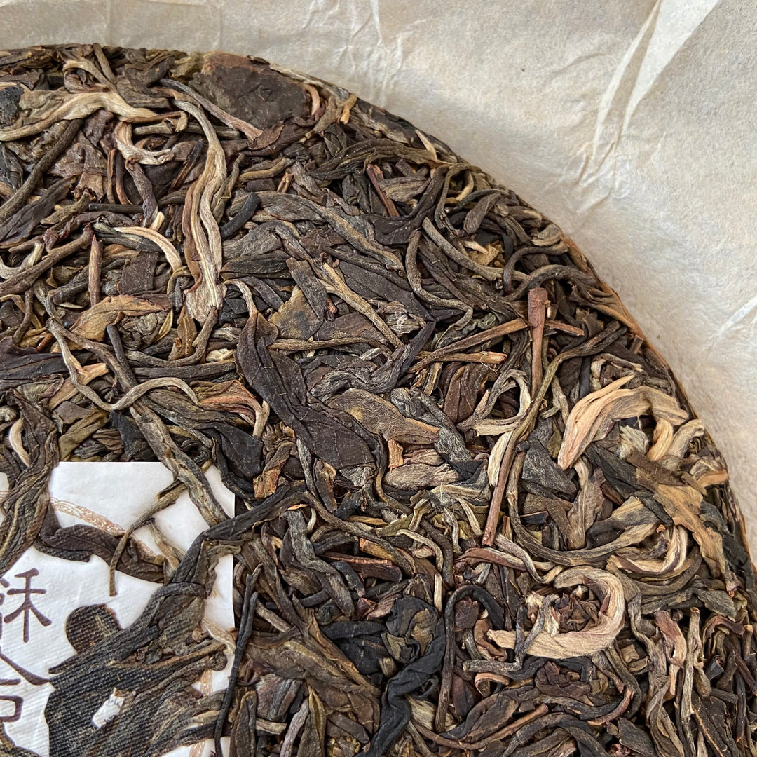 2020 TMK “Fu Gui - Meng Hai Qiao Mu” (Returning- Menghai Arbor Tree ) 357g Puerh Raw Tea Sheng Cha