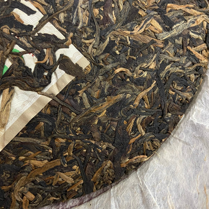 2006 FuHai "Qiao Mu Zao Chun - Te Ji Pin" (Early Spring Arbor - Special) Cake 380g Puerh Raw Tea Sheng Cha
