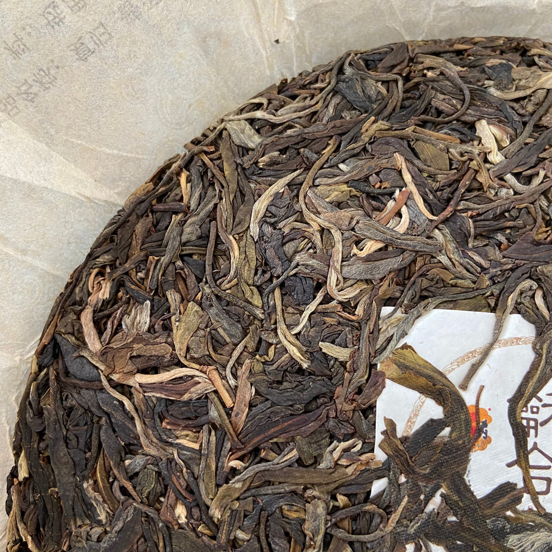 2020 TMK “Fu Gui - Meng Hai Qiao Mu” (Returning- Menghai Arbor Tree ) 357g Puerh Raw Tea Sheng Cha