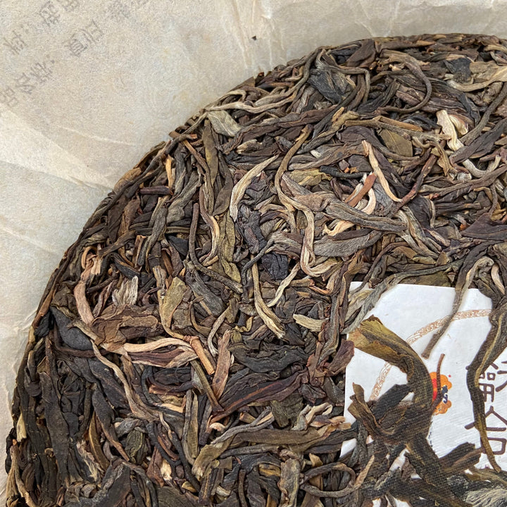2020 TMK “Fu Gui - Meng Hai Qiao Mu” (Returning- Menghai Arbor Tree ) 357g Puerh Raw Tea Sheng Cha