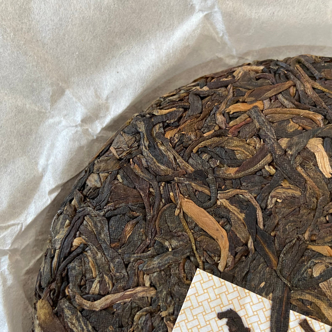 2018 DC "Chun Hui" (Spring Sunshine- Mengsong Big Tree) 150g Cake Puerh Sheng Cha Raw Tea