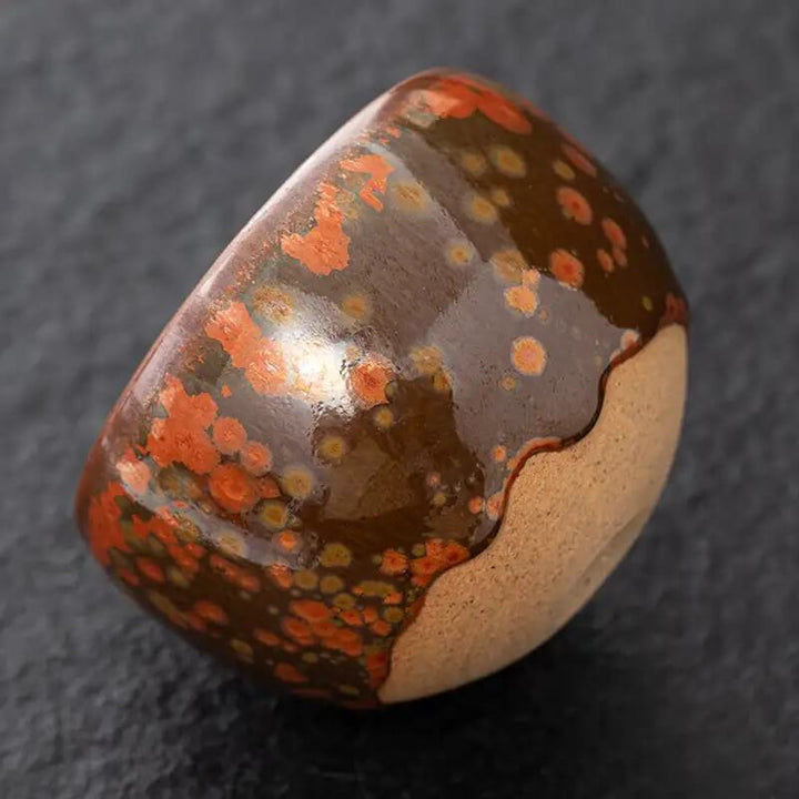 Phoenix Jian Zhan Tenmoku Tea Bowl