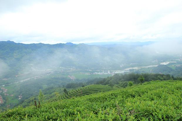 2019 JingWei Fu Tea "Shou Chui" (Hand Ramming) Brick 1000g Dark Tea, Shaanxi